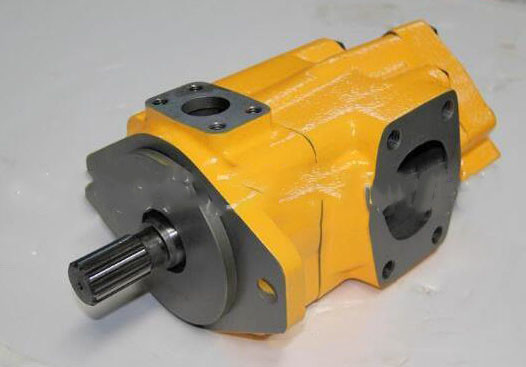 4T6020 4T6020 Caterpillar Tip Kanatlı Pompa